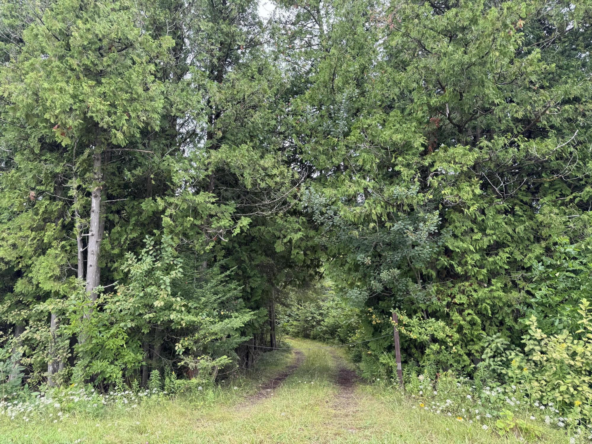 Image 3: IMG_2725
