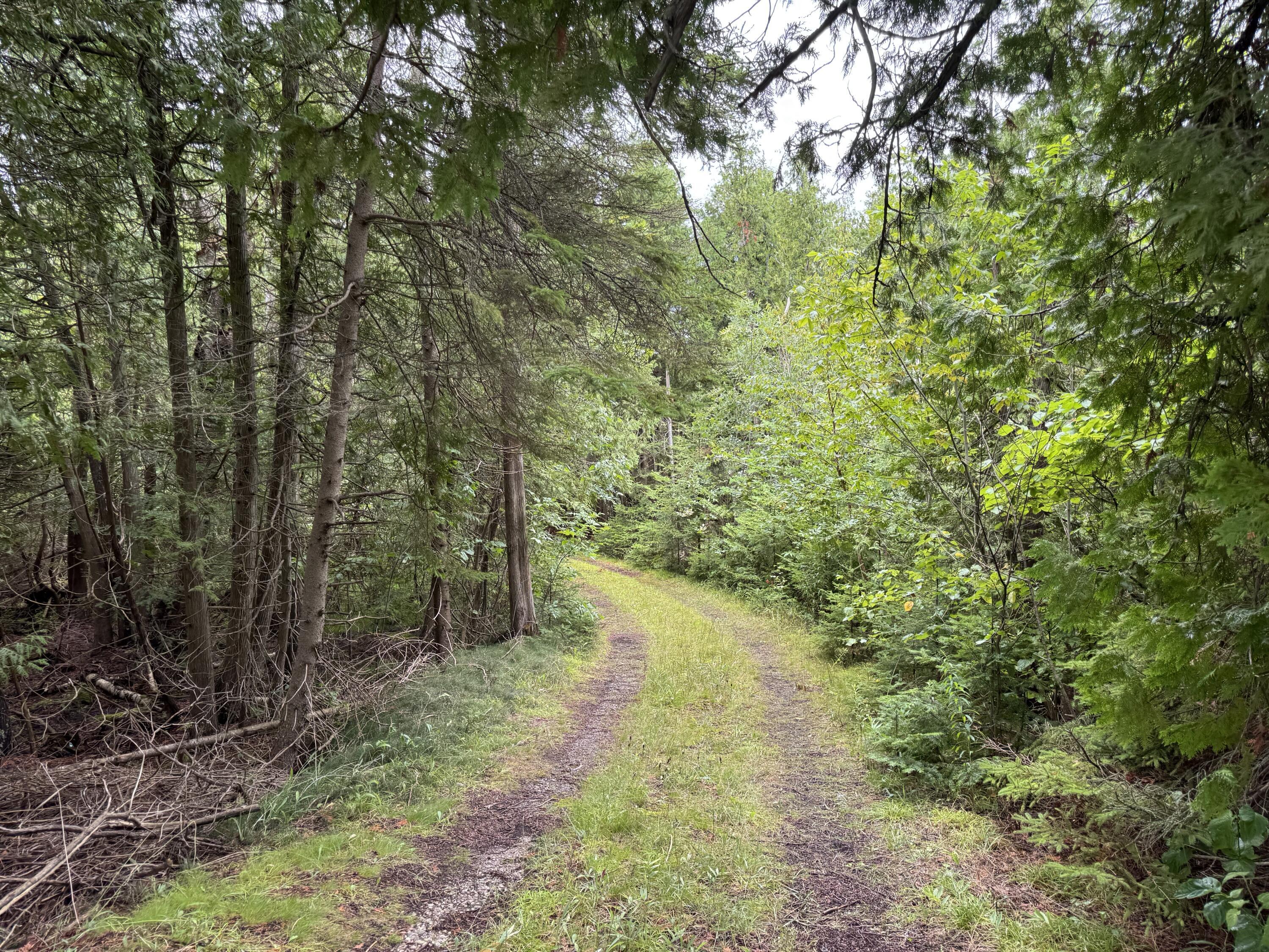 Image 4: IMG_2735