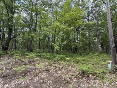 Lot 12 Joy Lane