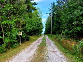 Lot 10 Eutaw Lane