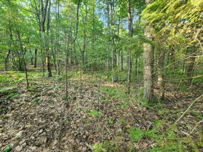 8120 Cordwood Trail