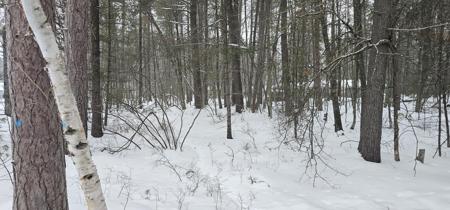 V/L Lot 1 Higgins Wood Drive