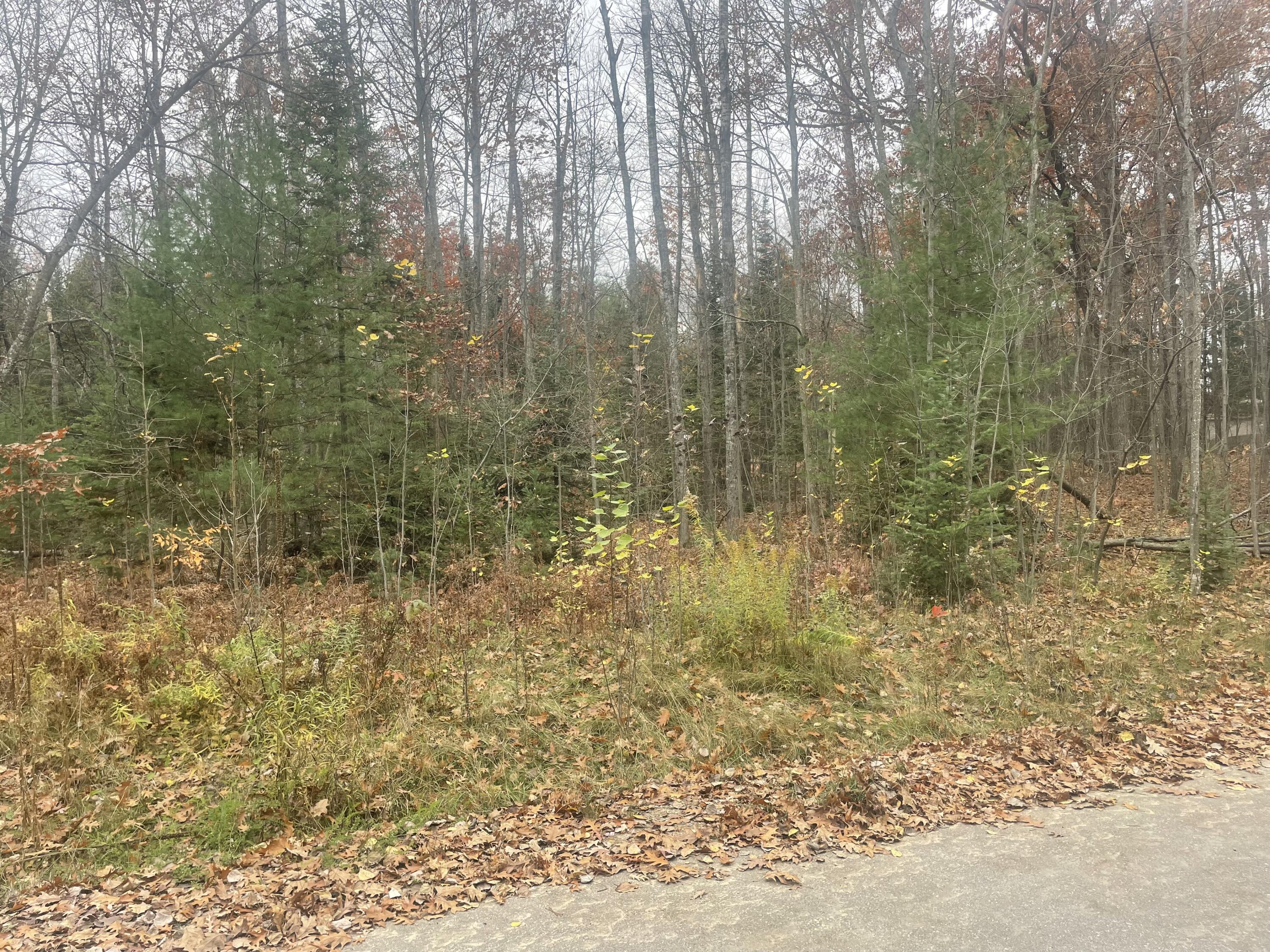 Image 3: IMG_5820
