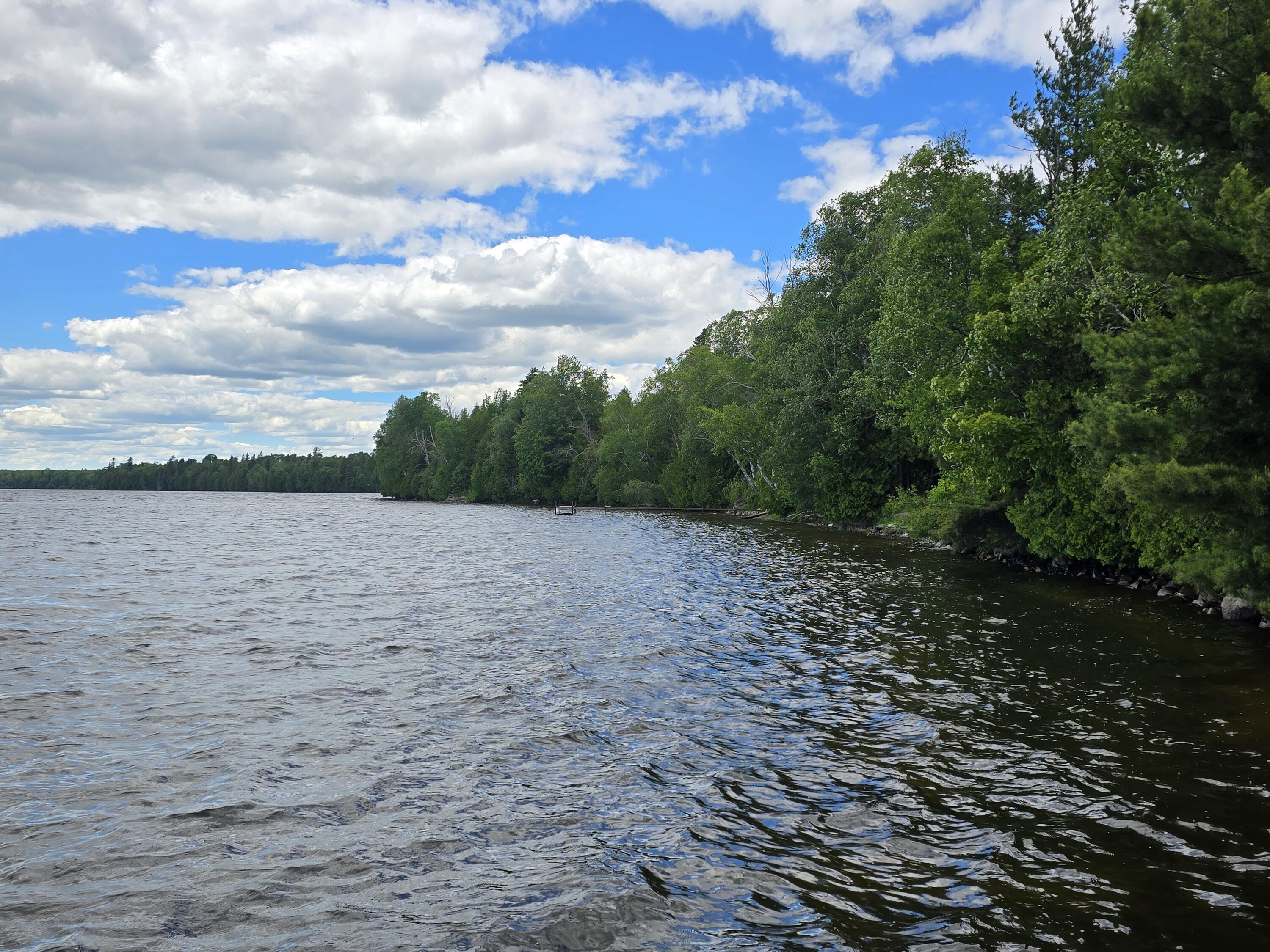 Image 4: Brevort Lake from pier (1)