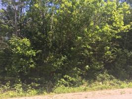 261&262 Pineview Drive