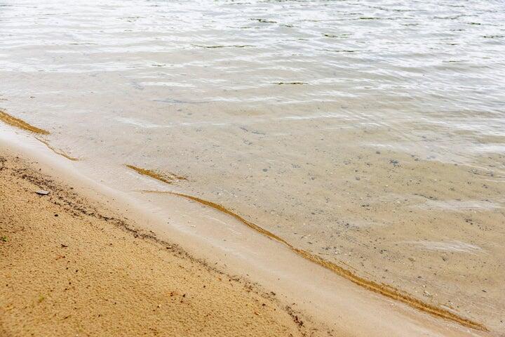 Image 3: Incredible Sandy Beach