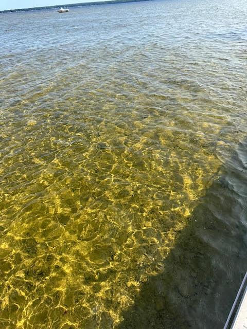 Image 3: Sandy bottom