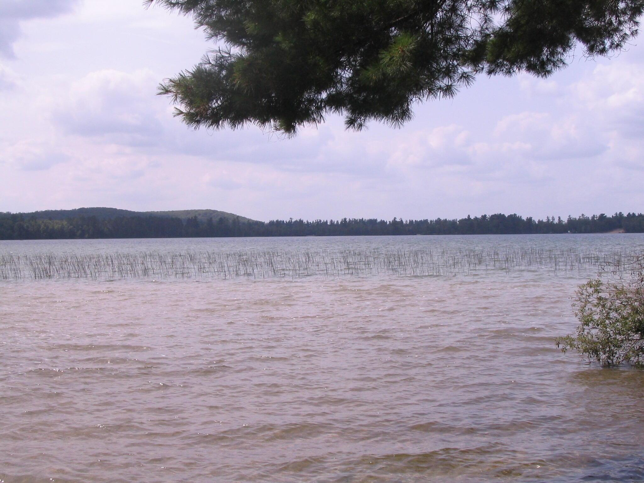 Image 1: Listing Photo