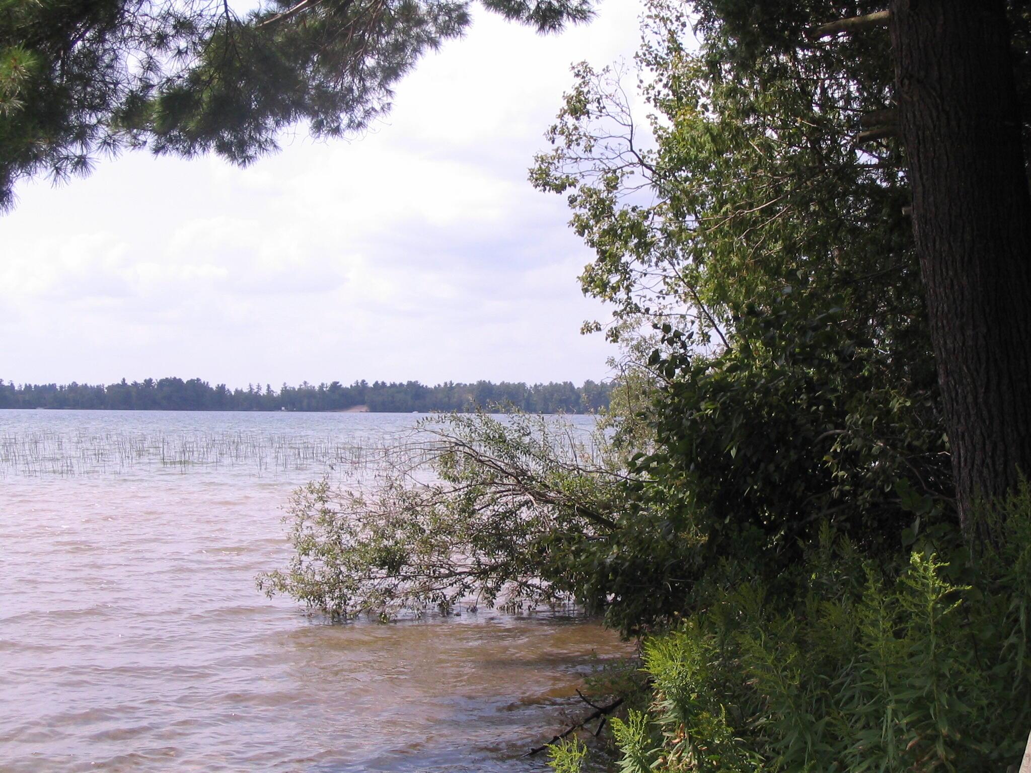 Image 3: Shoreline