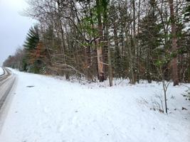 279 Eagles Nest Road