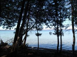 Weatherhead Trail