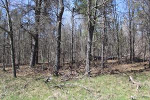 Lot#39 S Mielke Way Road
