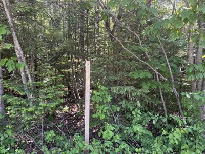 8190 Cordwood Trail