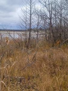S Partridge Point Road