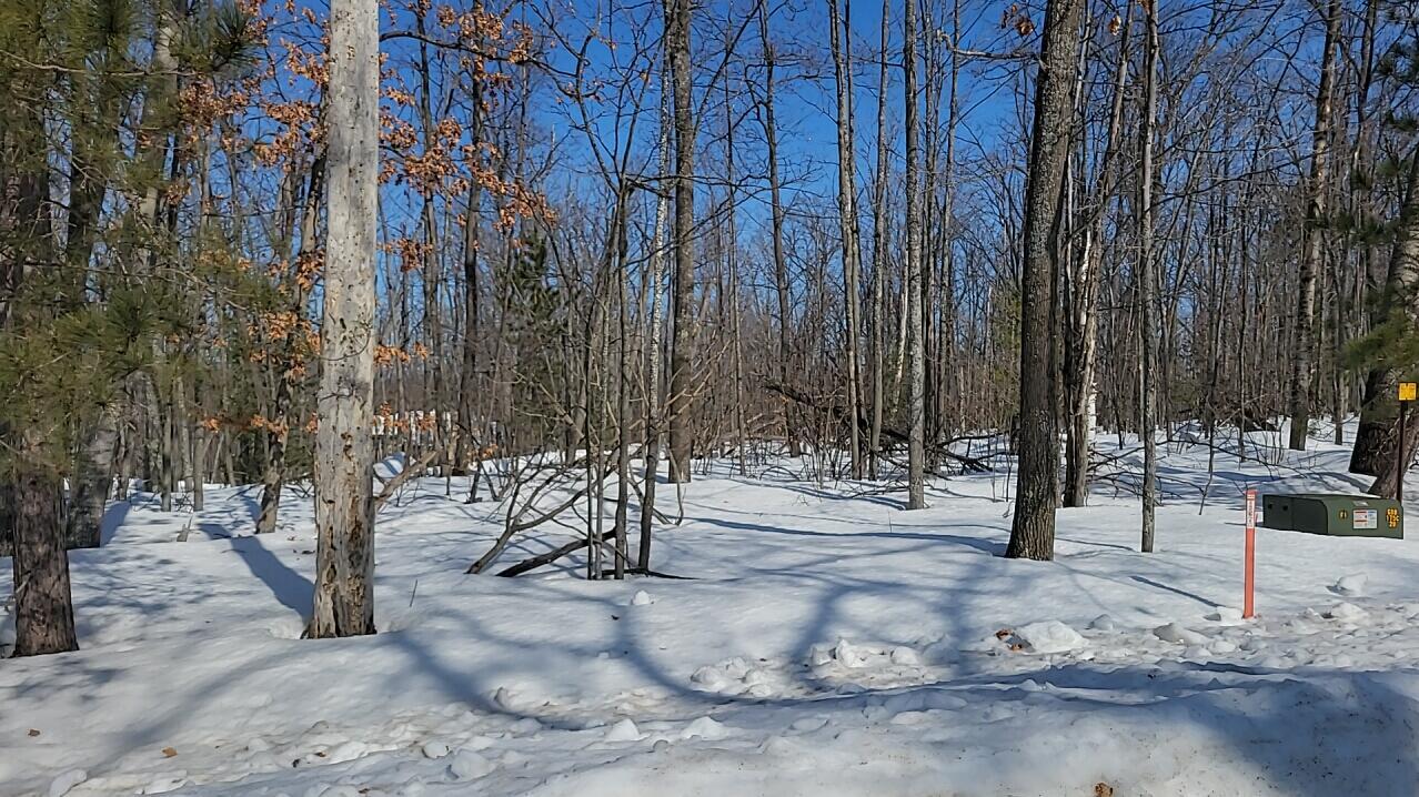 Image 3: 2026-03-05 11-53-54-030