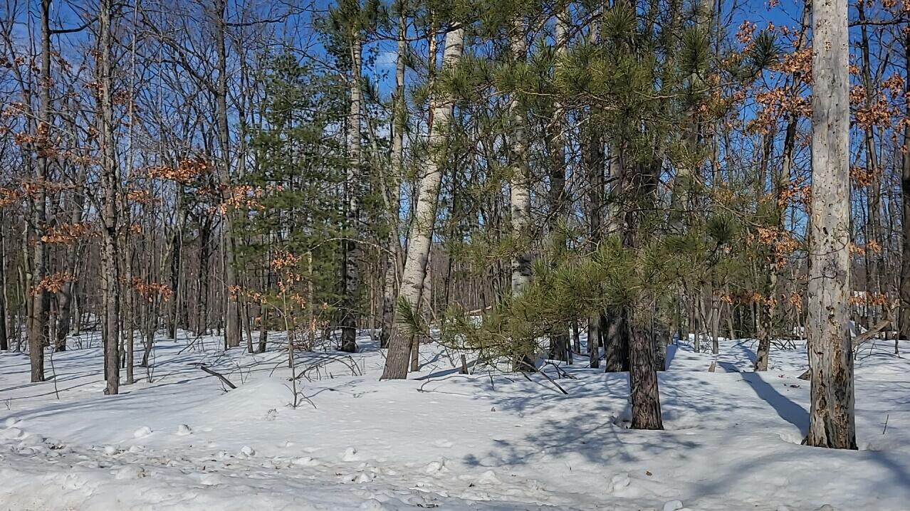 Image 4: 2026-03-05 11-53-51-381