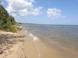 Old Shore Road