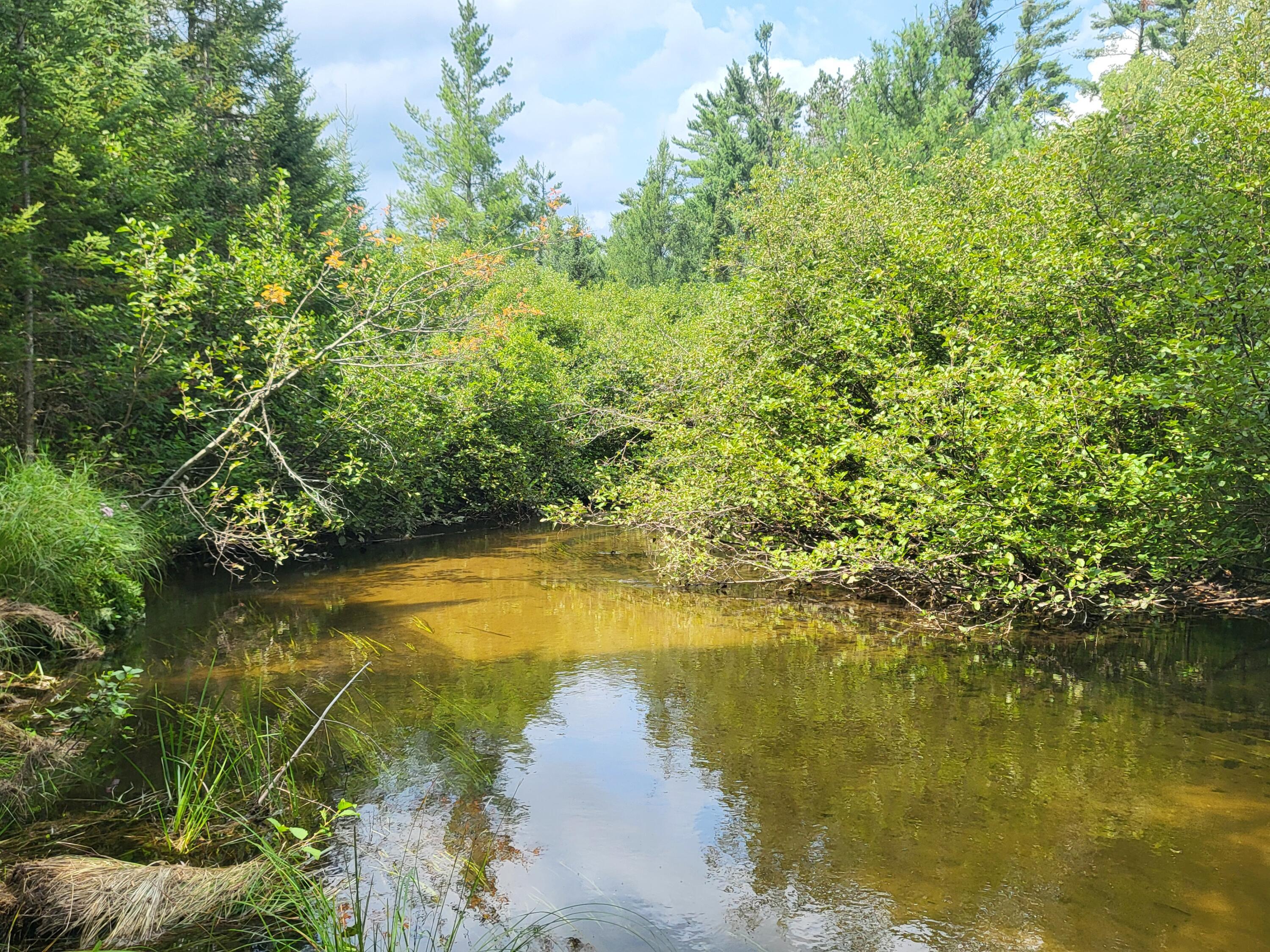 Image 3: AuSable River