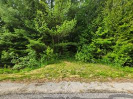 Cordwood Trail