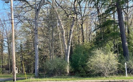Lot 6 W Houghton Lake Drive