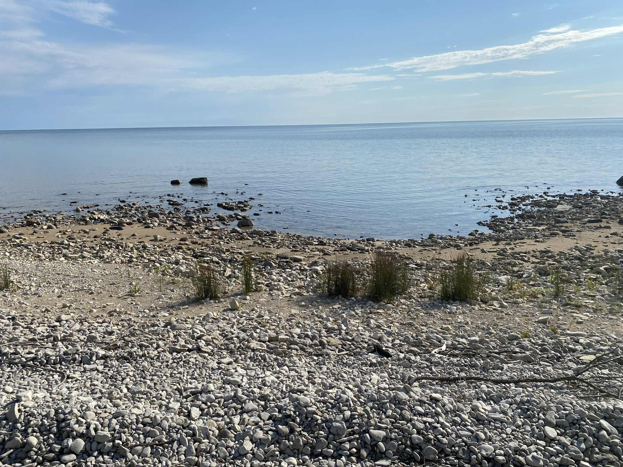 Image 4: Shoreline