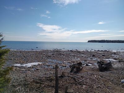 6777 Swimmers Cove Road