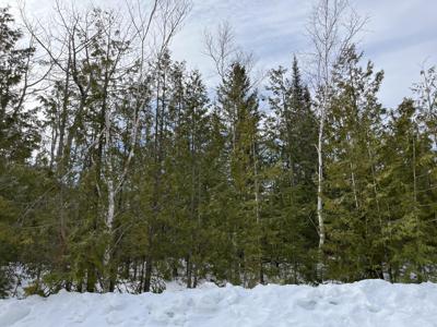 L 212-213 Shoreham Court