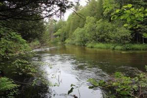 Swift Creek Road