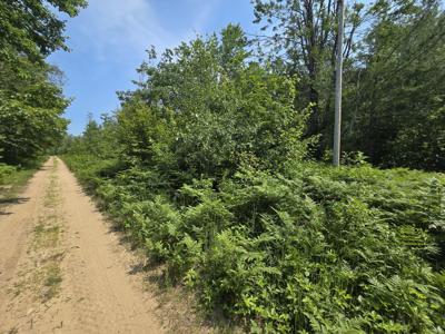 Iroquois Trail