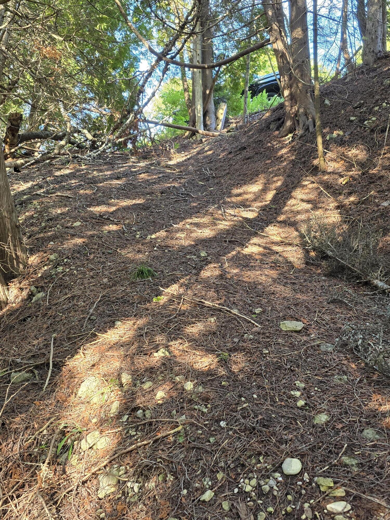 Image 3: The trail down