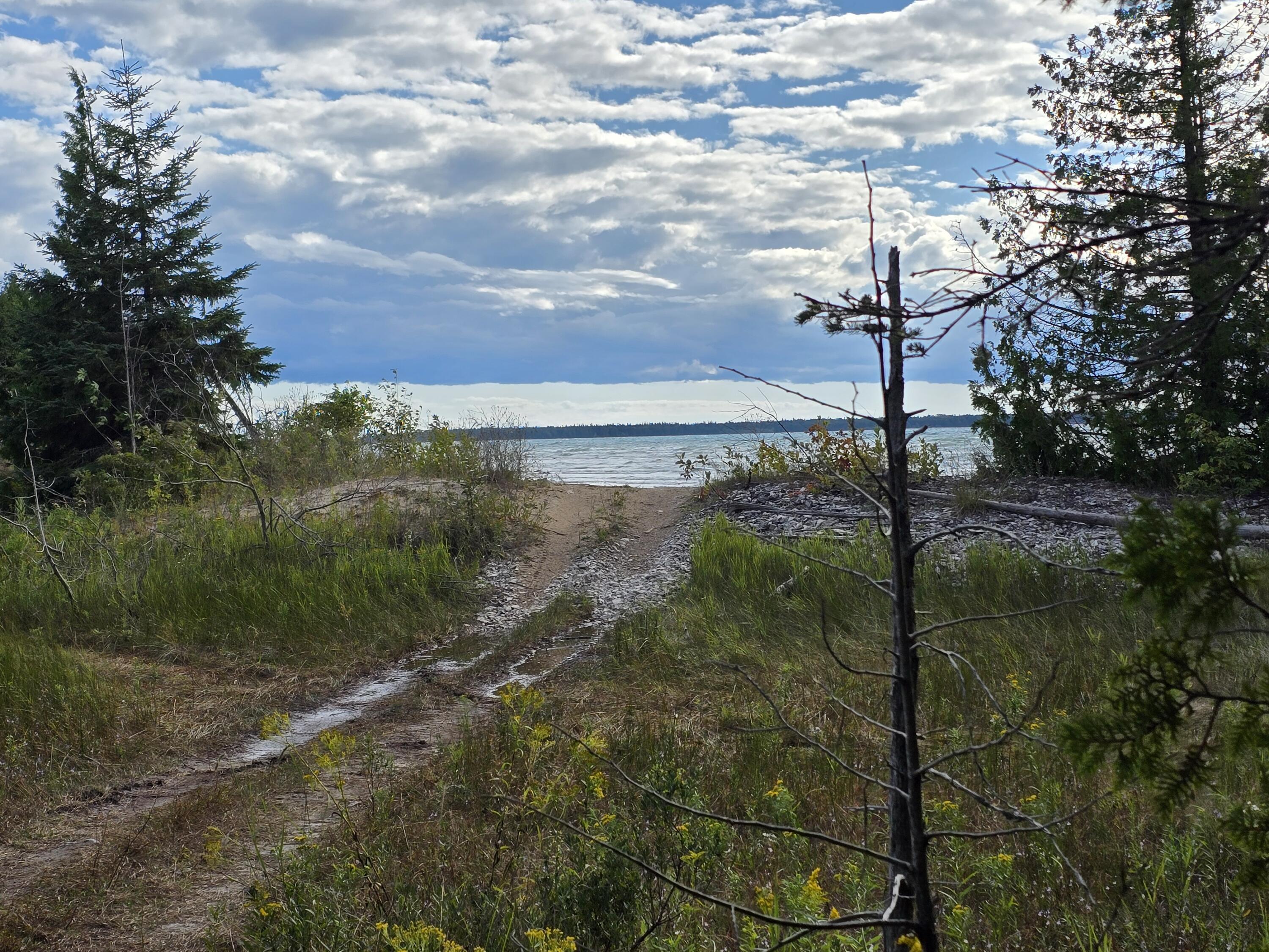 Image 4: To the shore