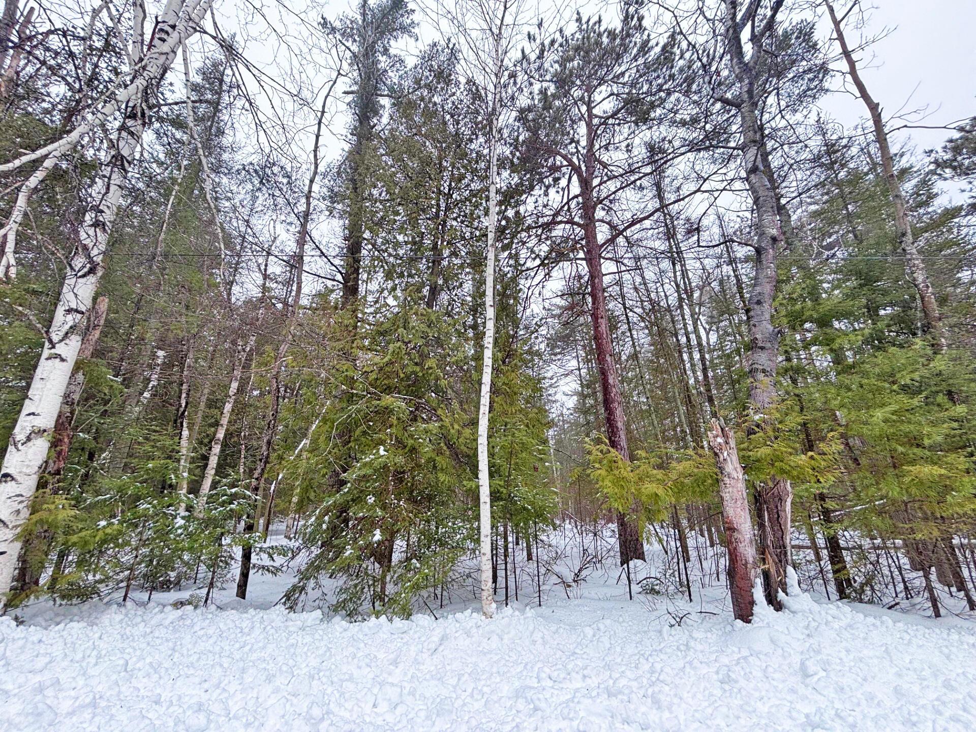 Image 1: Lots 275 & 276