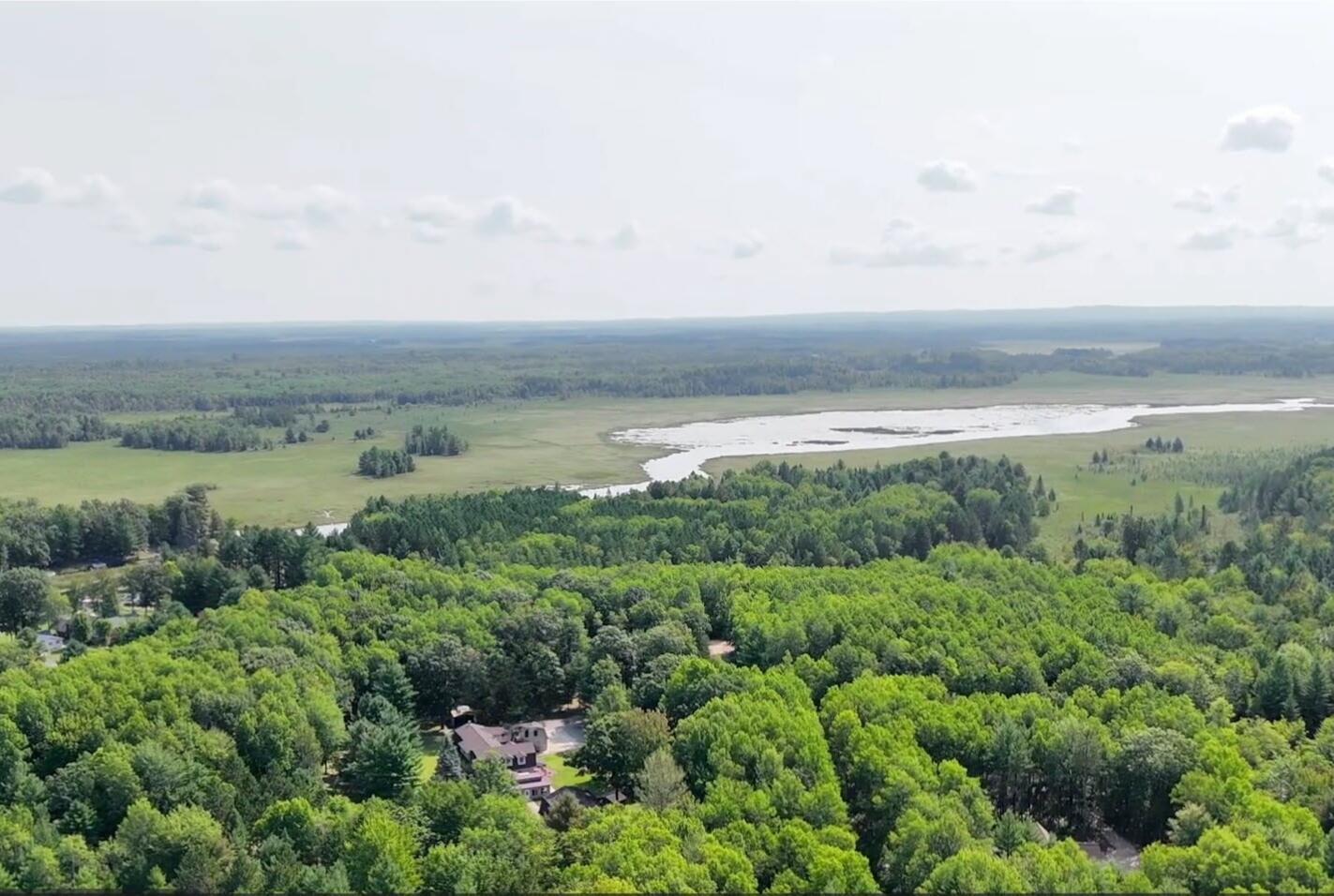 Image 1: Untitled design (13)