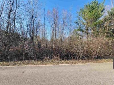 0.50 AC Maple Street