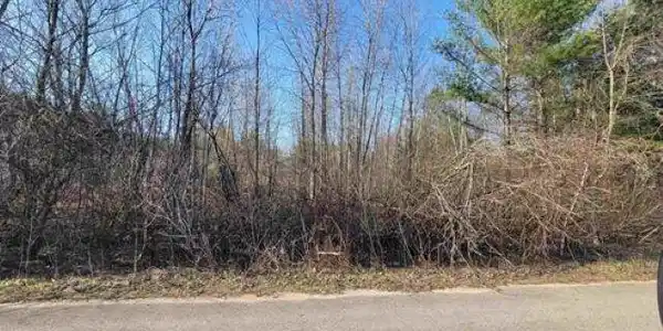 0.50 AC Maple Street