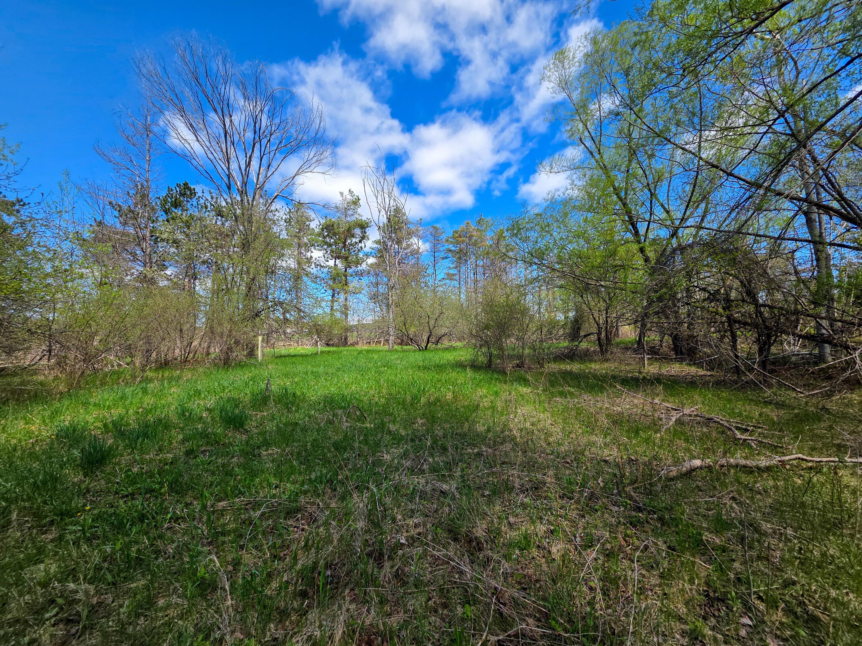Image 4: Land