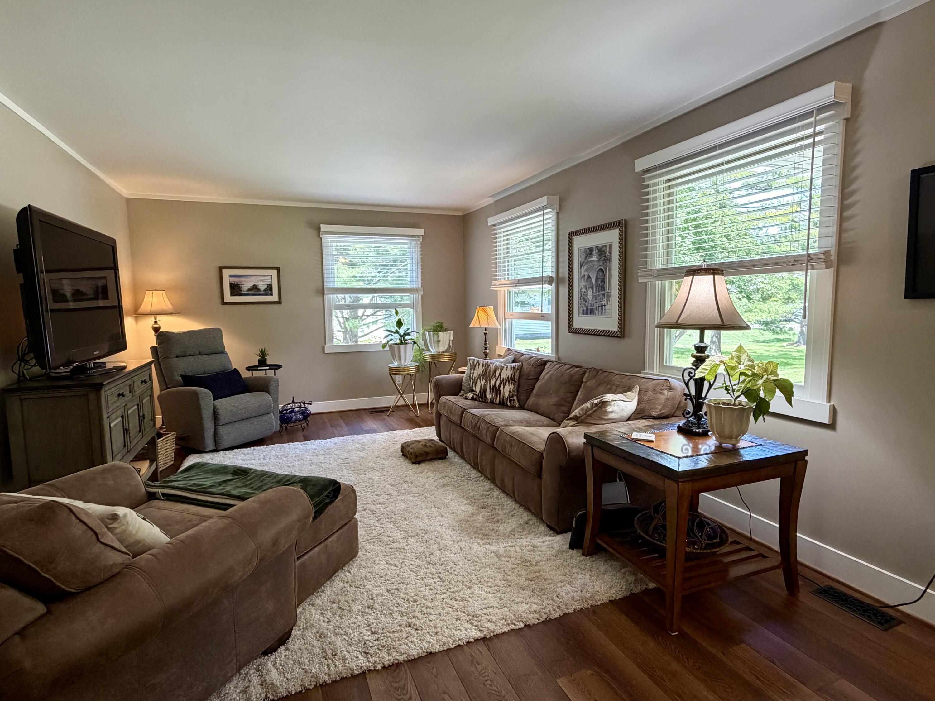 Image 3: Living Room