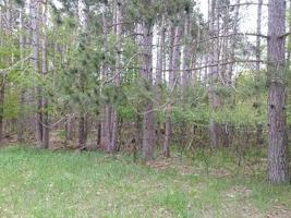 Lot #49 Foothills Trail