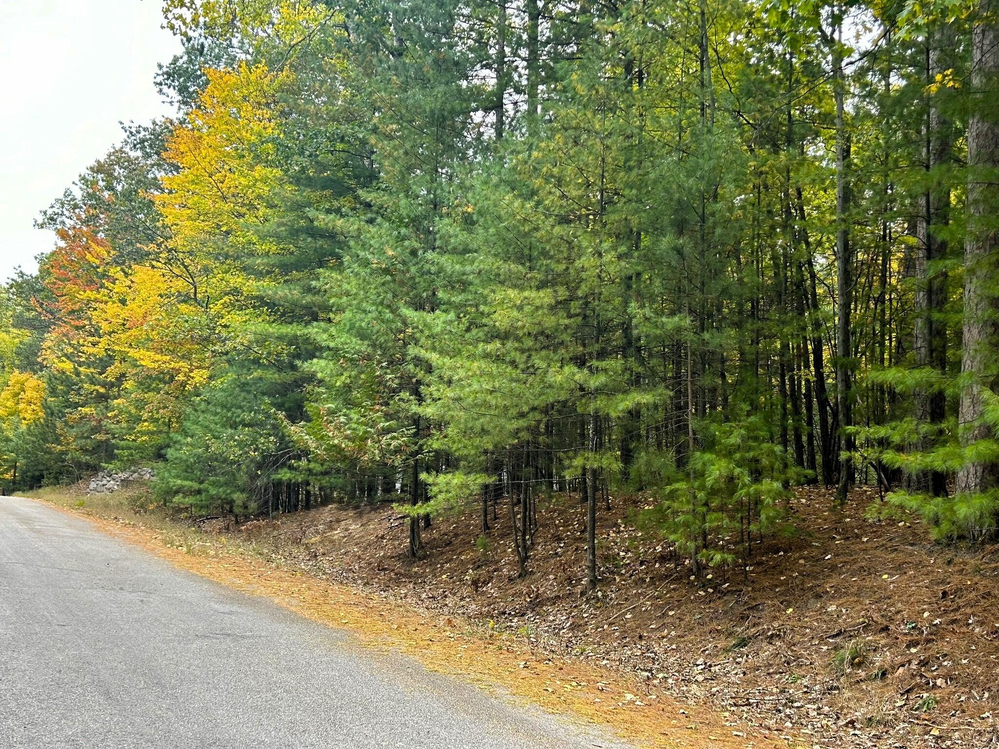 Image 1: Lot 12