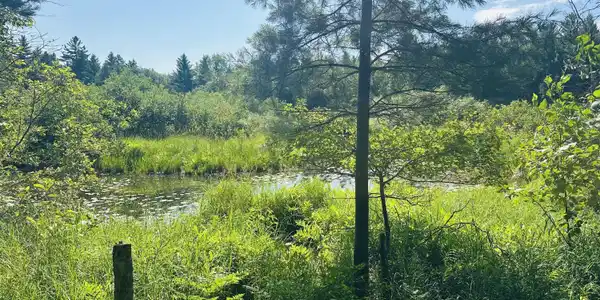 Lot 39 Ausable River Trail