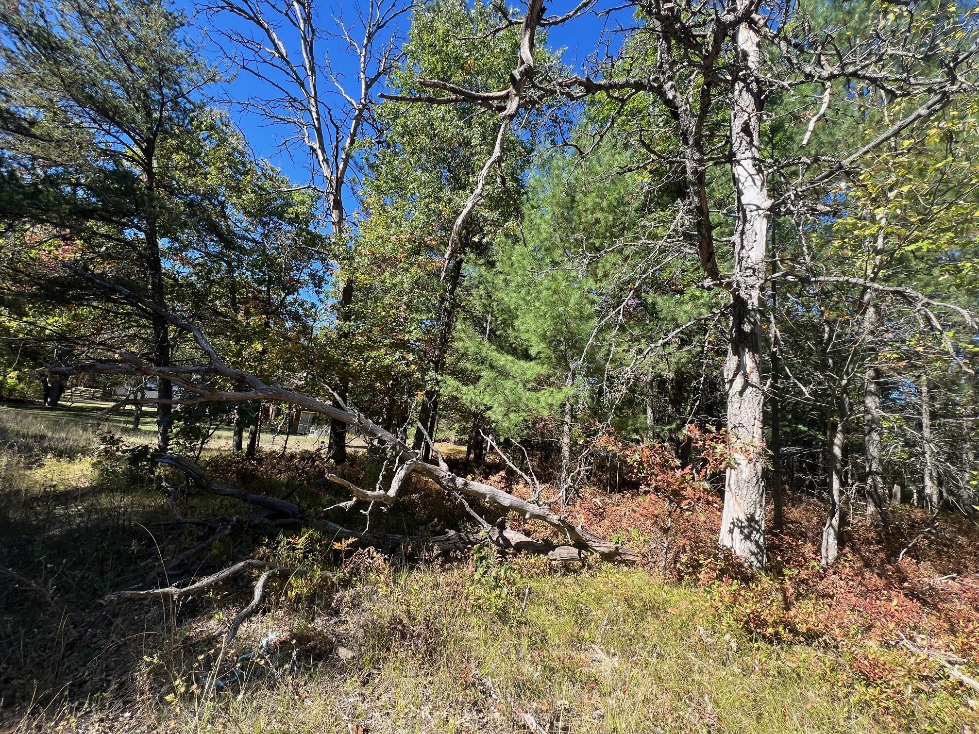 Image 4: IMG_0816