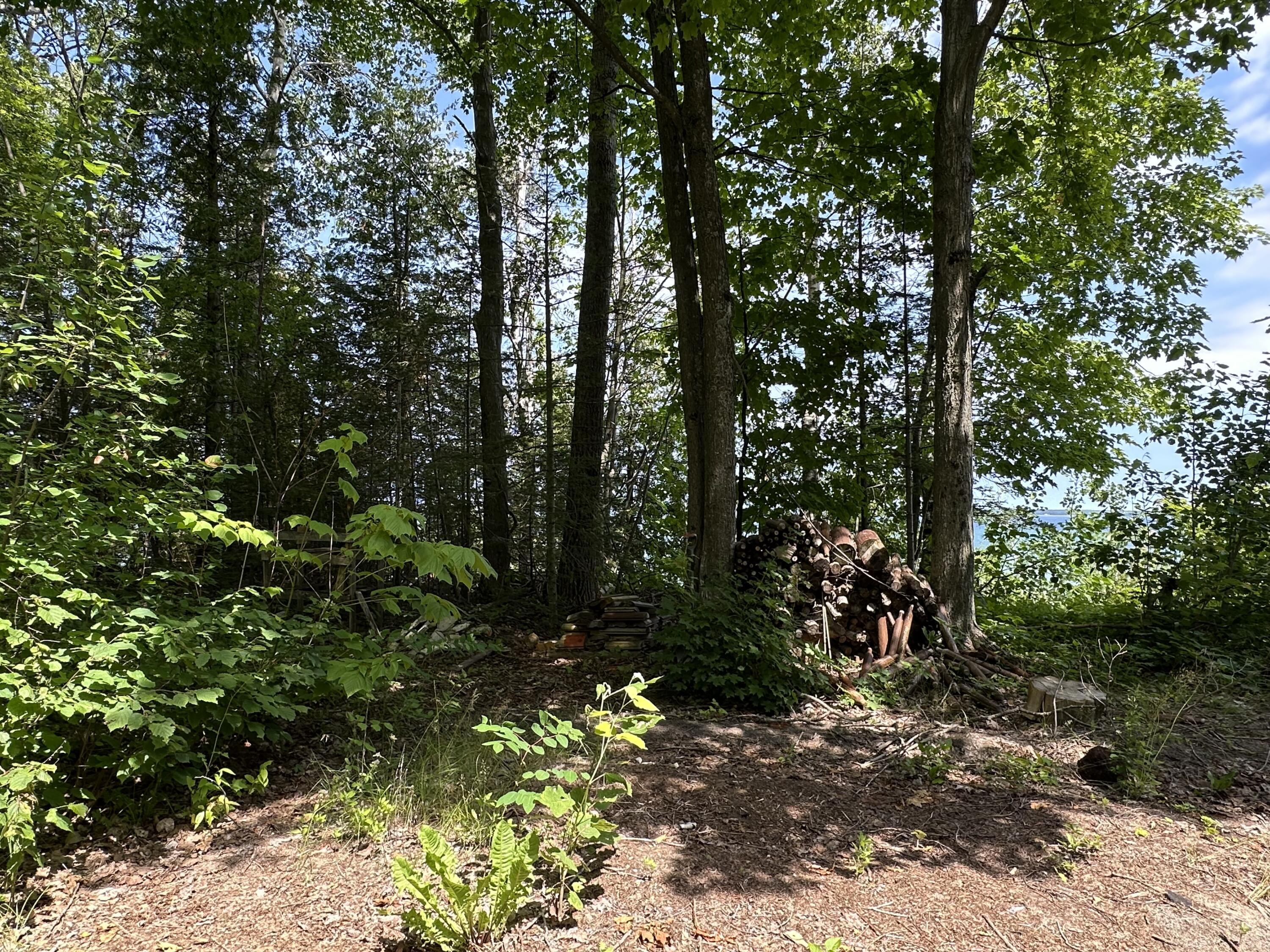 Image 3: IMG_1609