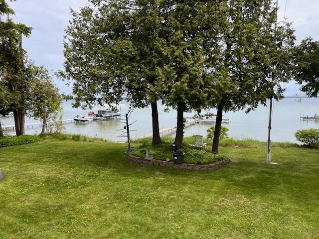 Image 2: IMG_6625