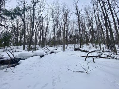 Lot 222 Fascination Drive