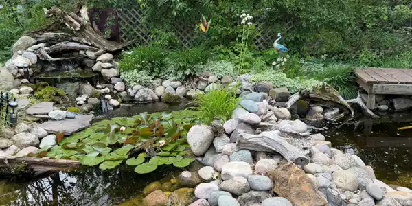 Image 2: Landscape Pond