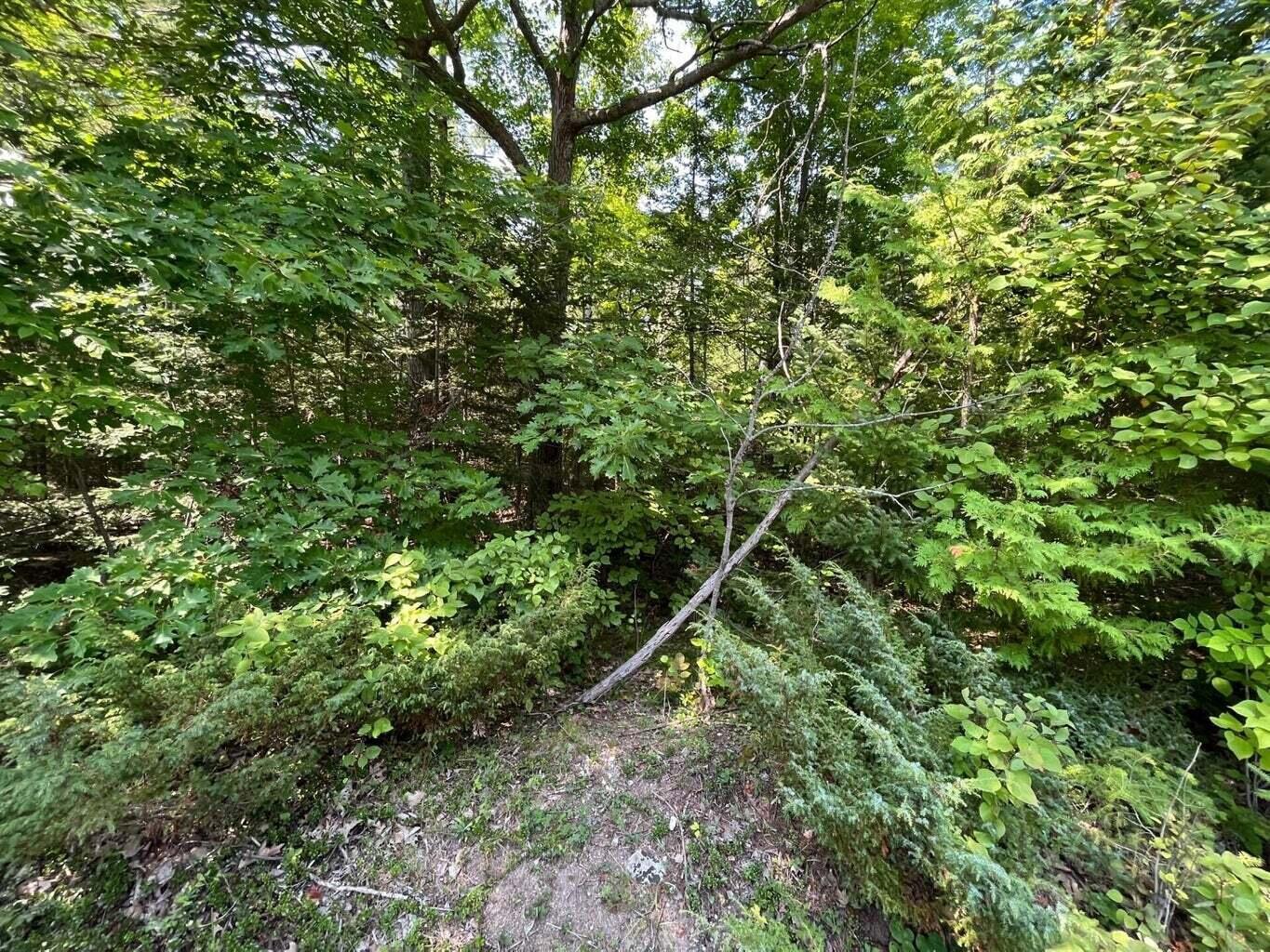 Image 1: 1