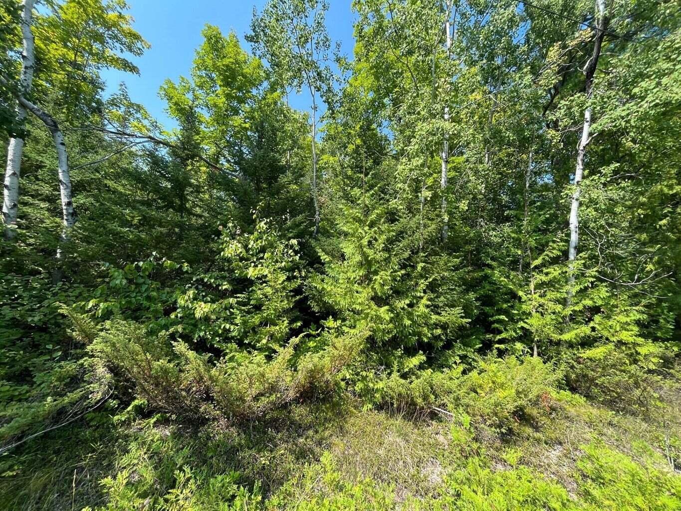 Image 3: 2