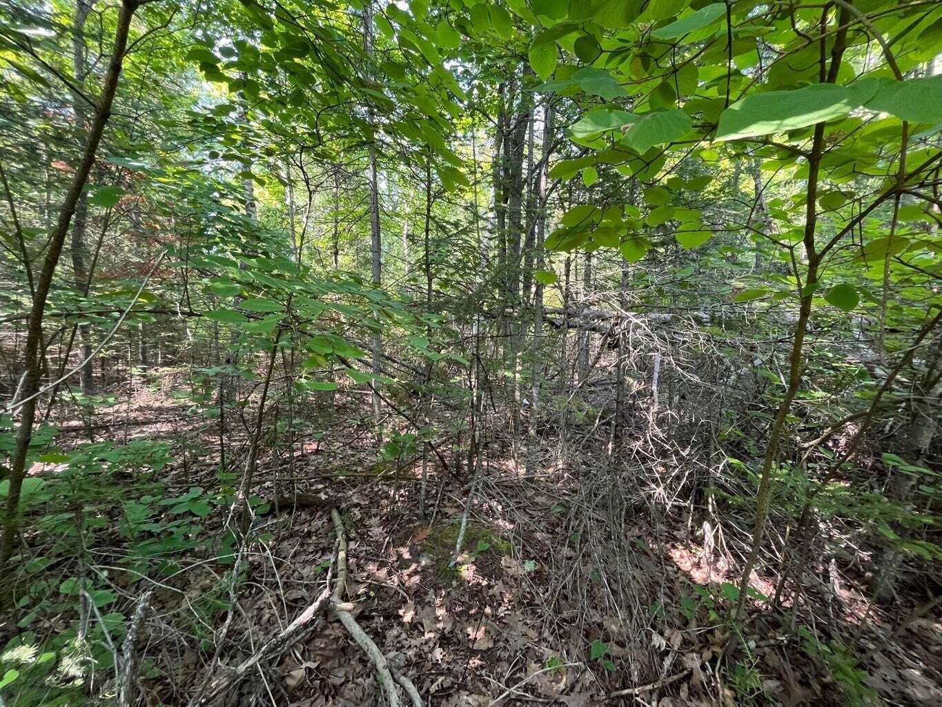 Image 4: 3