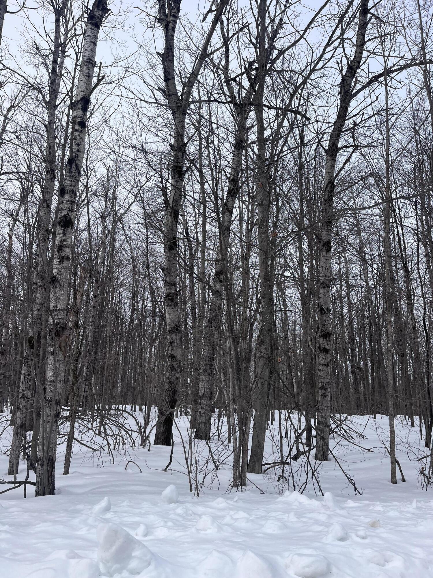 Image 1: IMG_8780 (1)