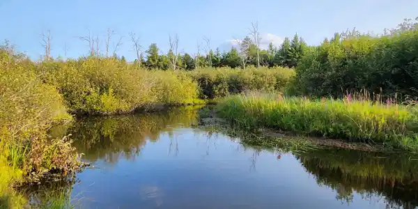 36 AuSable River Trail